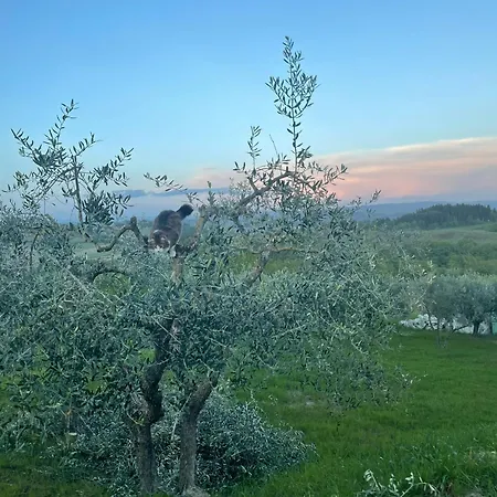 ファームステイ Podere La Quercia サン・ジミニャーノ